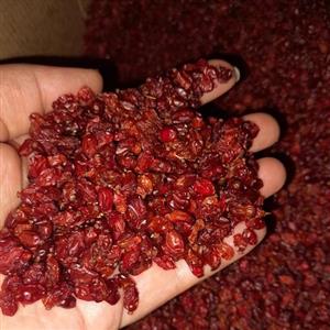 زرشک اعلا امسالی