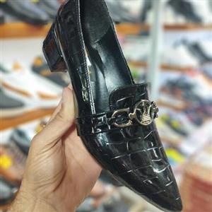 کالج زنانه ورنی کروکدیلی