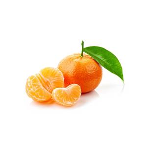 نهال نارنگی محلی قدیم