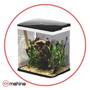 اکواریوم دلسا  k390