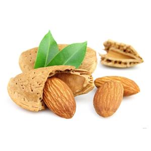 نهال بادام سنگی مامایی Mamae Almond Sapling
