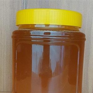 عسل کنار طبیعی سدر فارس رضا وزن 950 گرم