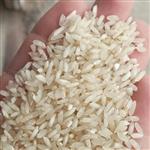 برنج عنبربو جنوب درجه یک امساله سورتینگ و کاملا الک شده بسته بندی 1 کیلوی جهت تست نمونه برنج
