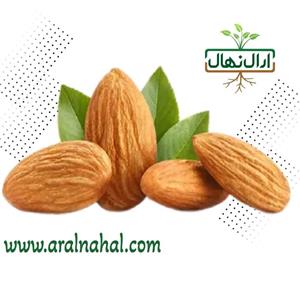 نهال  ده عددی بادام  دیر گل آذر  خوشه ای پربازده ارسال به صورت باربری وپس کرایه به عهده مشتری