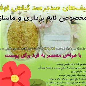 لیف گیاهی لوفا (صورت)