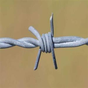 سیم خاردار خطی سوزنی هر یک کیلوگرم 9 متر