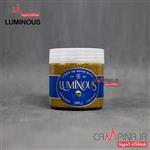 خمیر ماهیگیری با طعم ماهی برند Luminous وزن 300 