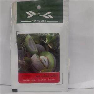 بذر طالبی گوشت سبز  ایرانی شرکت آذر سبزینه  کد محصولQ 28  درصد جوانه زنی 90 درصد 