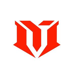 دینام شرکتی ام وی ام 315