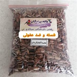 تخمه آفتابگردان قرمز - تازه و پر مغز