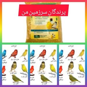 دان غذای مخصوص ویژه پرنده قناری 500گرمی دان کاملا استریل کیفیت بالاس پارک جهانی