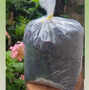 چای ممتاز،یک کیلو و نیم