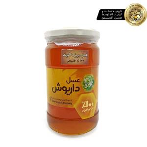 عسل ویژه (مطلقا حرارت ندیده)900گرمی داریوش همدان