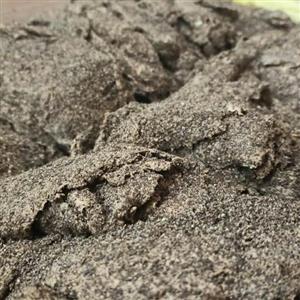 حلوای بزرک سنتی مراغه لوکس