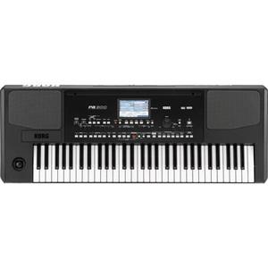 کیبورد Korg PA300