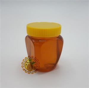 عسل طبیعی گشنیز یک کیلویی