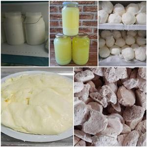 کشک خشک نیم کیلویی صد در صد خالص و بومی تهیه شده از دوغ بز  خالص در منطقه طرقرود اصفهان