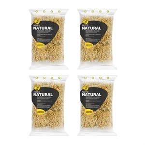 تخمه کدو گوشتی ریز آتشین نچرال - 250 گرم بسته 4 عددی
