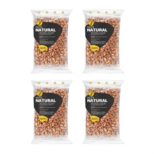 تخمه ژاپنی شور نچرال - 250 گرم بسته 4 عددی