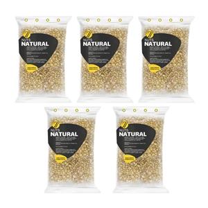 تخمه هندوانه سفید نچرال - 100 گرم بسته 5 عددی 