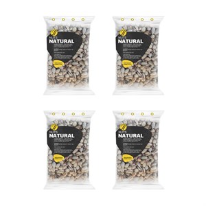 پسته خام اکبری نچرال - 250 گرم بسته 4 عددی