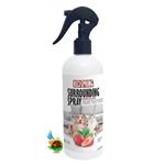 اسپری ضد عفونی کننده محیط رد اسپرینگ بر پایه نانو نقره با عصاره توت فرنگی Redspring surrounding spray nano silver with strawberry حجم ۵۰۰ میلی لیتر