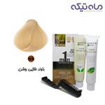 کیت رنگ مو یک دقیقه ای بدون آمونیاک آسانتا شماره 88 حجم 60 گرم