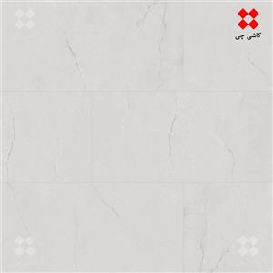 بنجامین ساده خاکستری 30×60 براق درجه 1