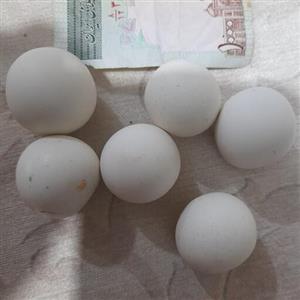 مهره آسیاب آلومینا چینی سرامیکی یا سنگ الماس دروغین