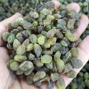 کشمش بندی سبز اعلا ارگانیک خوانسار