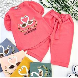 تیشرت شلوارک قو.جنس ابرو بادی.سایز 40 تا 55.دخترانه.رنگ بندی و اندازه ها بعد عکس ها