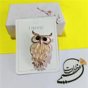 سنجاق سینه رنگ ثابت نگین کاری شده بسیار با کیفیت طرح جغد نگین کاری شده و لاکچری