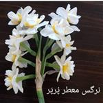 پیاز گل نرگس مخلوط (گونه معطر شهلا و پُرپَر بصورت درهم) بسته 10 کیلوئی