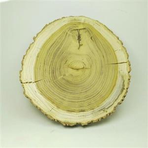تخته سرو  چوب کالباسی  