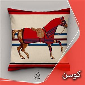 کاور کوسن مخمل ایران خاتون40در 40طرح پر فروش هرمس طرحی برای خاص پسندان