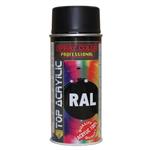 اسپری رنگ مشکی براق اکو سرویس ایتالیا RALL 9005