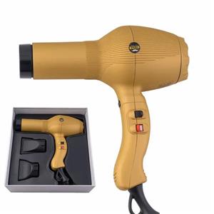 سشوار انزو پروفیشینال مدل EN-8895