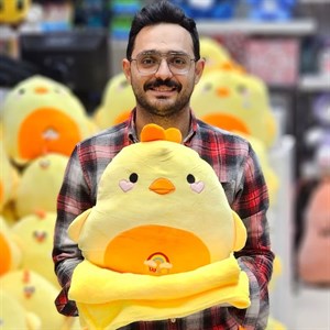 عروسک حیوانات بالشتی