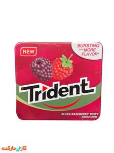 آدامس تریدنت فلزی تمشک سیاه 15 عددی Trident Black Raspberry Twist 