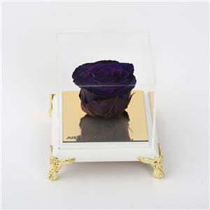 جعبه گل ماندگار گیتی باکس مدل رز جاودان آبی تیره کاج Gitibox Kaj Dark Blue Preserved Rose Flower Box