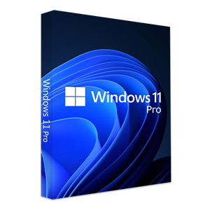 نرم افزار لایسنس اوریجینال ویندوز 11 نسخه پرو Windows 11 Pro