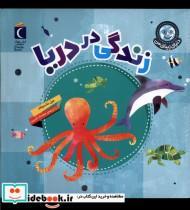 کتاب دنیای زیبای من(زندگی دردریا)محراب قلم  - اثر جیل مک دونالد - نشر محراب قلم