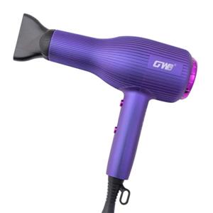 سشوار حرفه ای جی دبلیو مدل X12