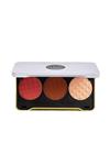 پالت رژگونه 3 رنگ مات و شاین دار X Patricia Face Palette Medium رولوشن Revolution