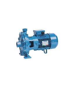پمپ یک و نیم اسب دو پروانه SISTEMA مدل BTCt 25/160C