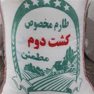 برنج طارم هاشمی کشت دوم درجه یک