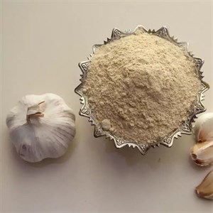پودر سیر فله ای 