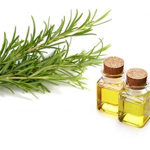 روغن ترخون Tarragon oil