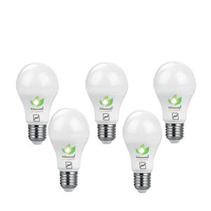 لامپ ال ای دی حبابی 5 وات اینده بسته عددی پایه E27 Bubble LED bulb w digit pack 