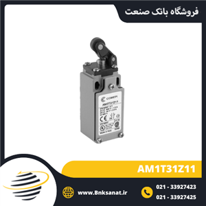 میکروسوئیچ کامپی فشاری یک طرفه ایتالیا AM1T31Z11